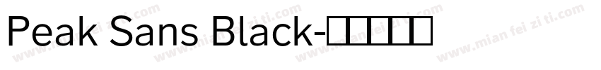 Peak Sans Black字体转换